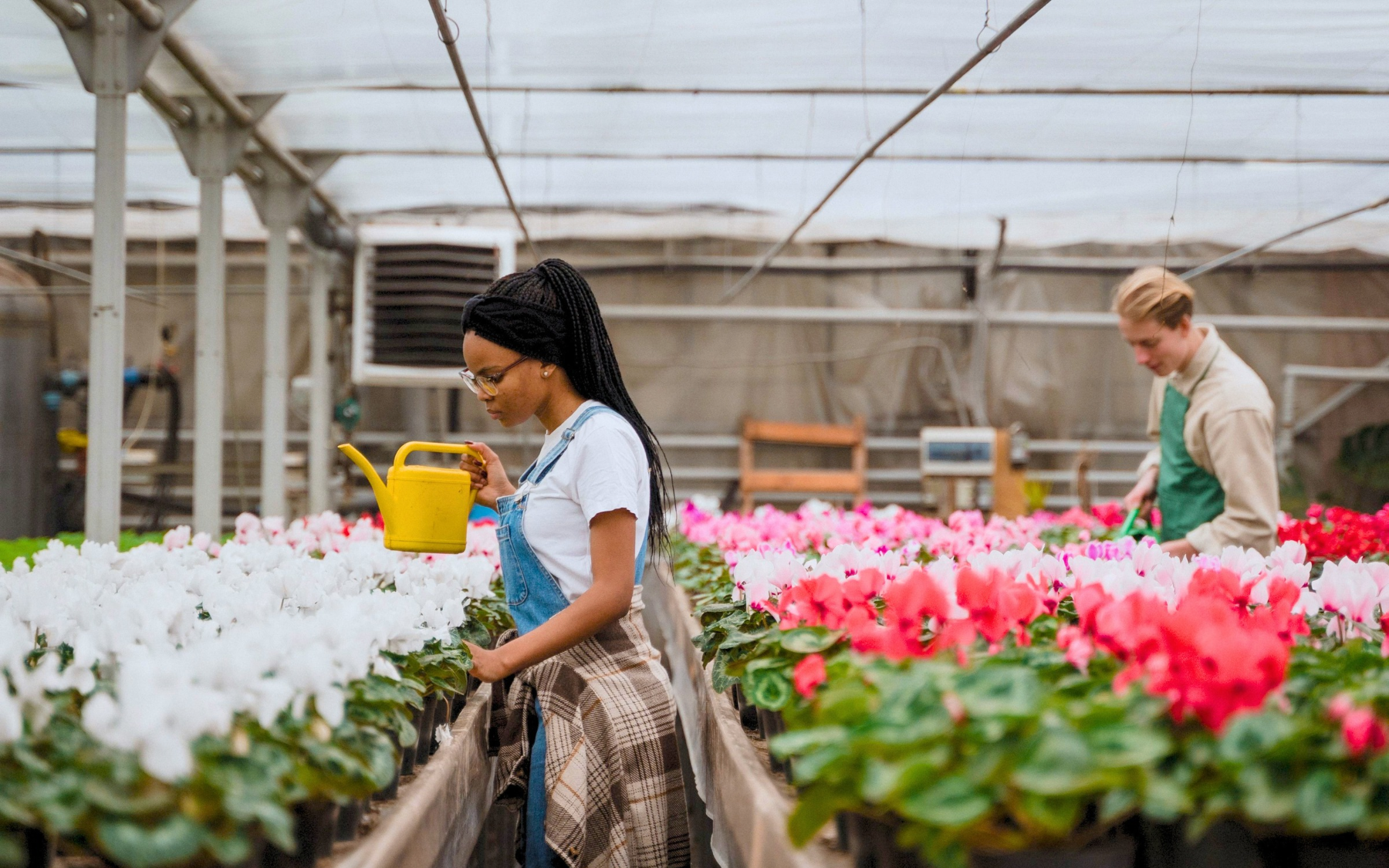 ORCHID CARE