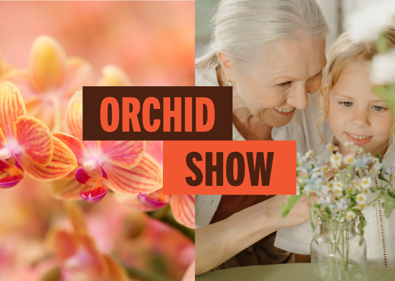 Orchid Show September 2025