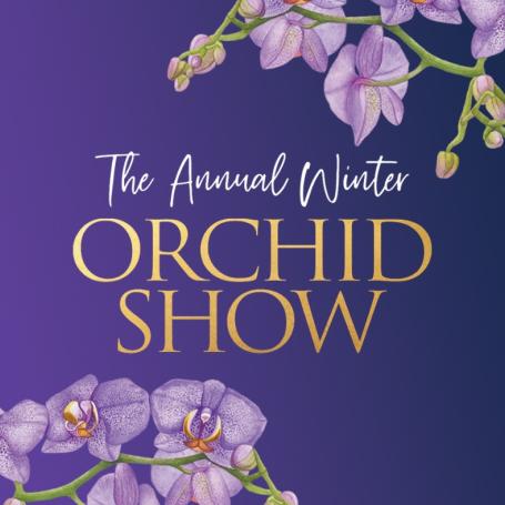 purple orchids on purple background for Orchid Show