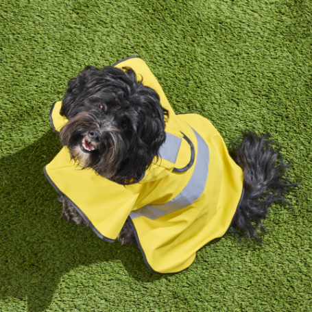 TRS New Pet Raincoat