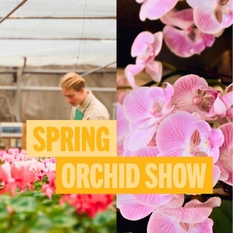 Spring Orchid Show