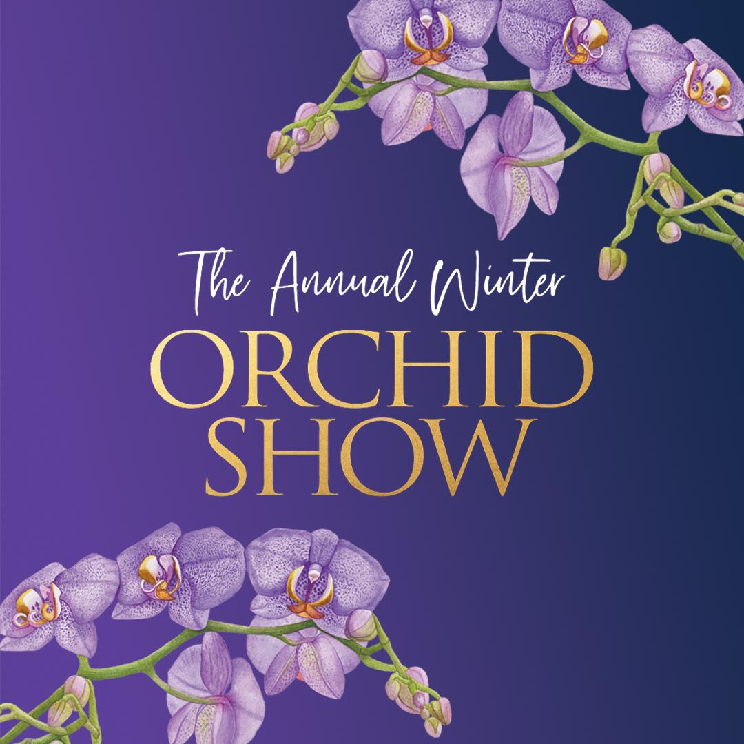 Orchid Show Seven Hills