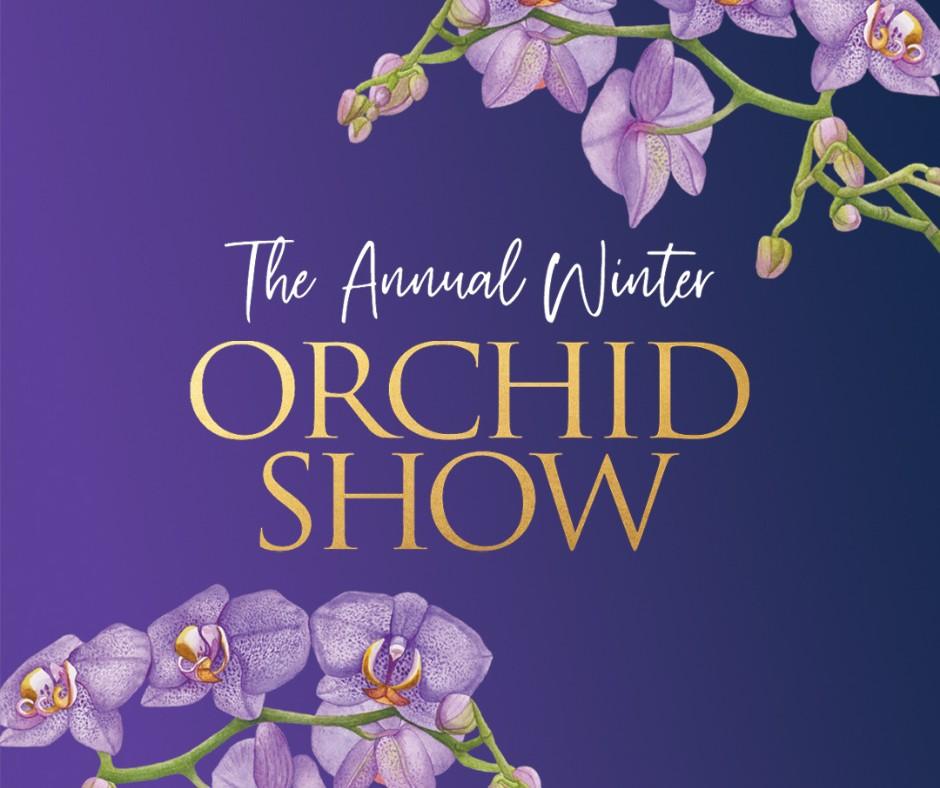 purple orchids on purple background for Orchid Show