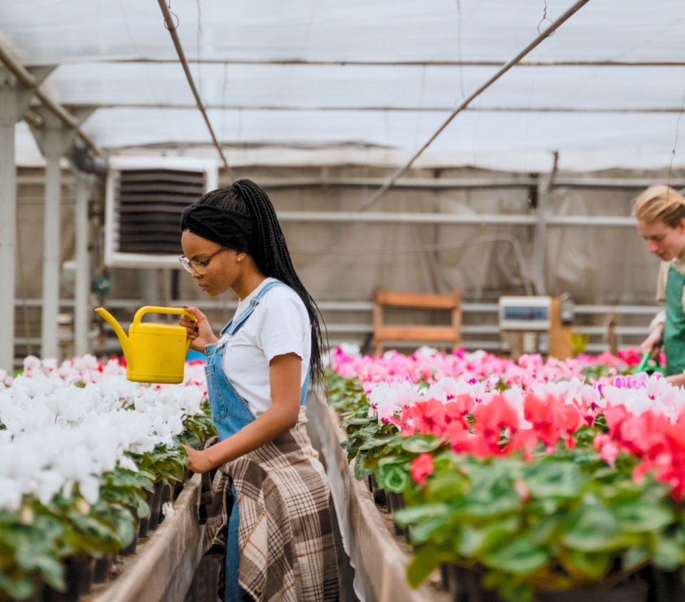 ORCHID CARE